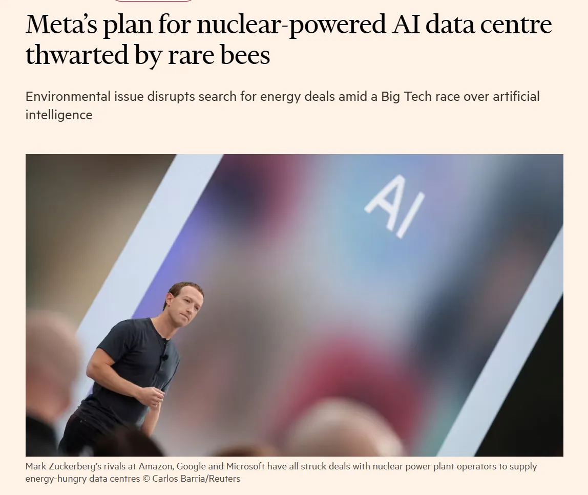 Meta’s plan for nuclear-powered AI data centre thwarted by rare bees