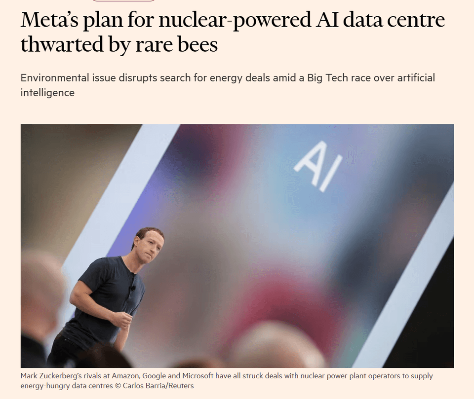 Meta’s plan for nuclear-powered AI data centre thwarted by rare bees 
