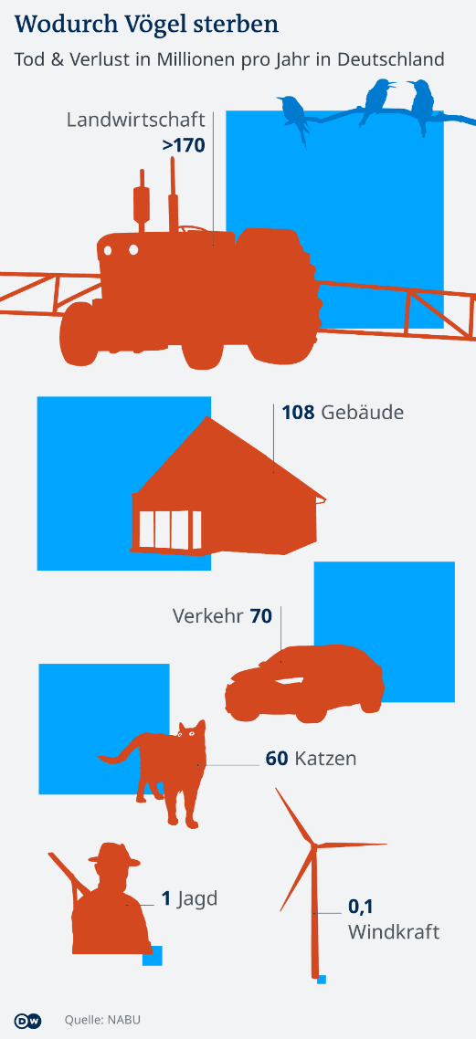 Wodurch Vögel sterben